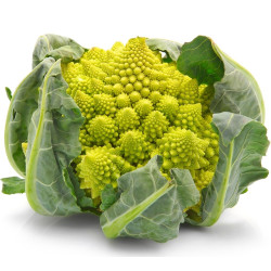 Kalafijorų sėklos Romanesco natalino - 270 sėklų