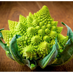 Kalafijorų sėklos Romanesco natalino - 270 sėklų